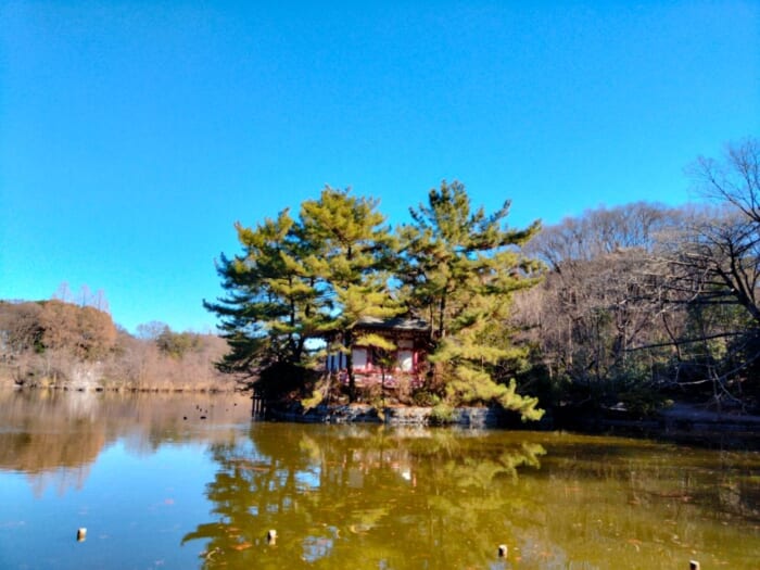 ミスチルの名曲ゆかりのパワースポット―開運浄化の石神井公園