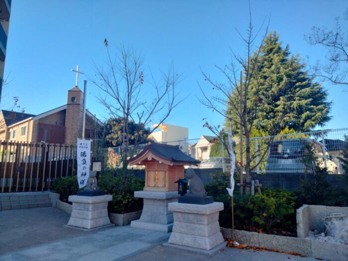 ソメイヨシノ発祥の地・駒込で開運！ 日本武尊ゆかりの妙義神社と異世界の富士神社