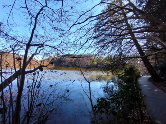 ミスチルの名曲ゆかりのパワースポット―開運浄化の石神井公園