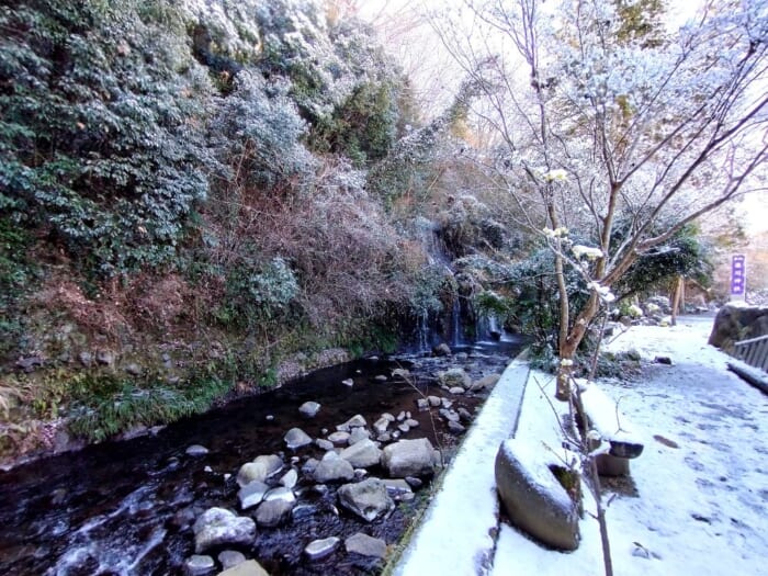 【静岡】本気でスッキリしたい人へ―富士山のエネルギー炸裂! 三島の瀧川神社と三嶋大社