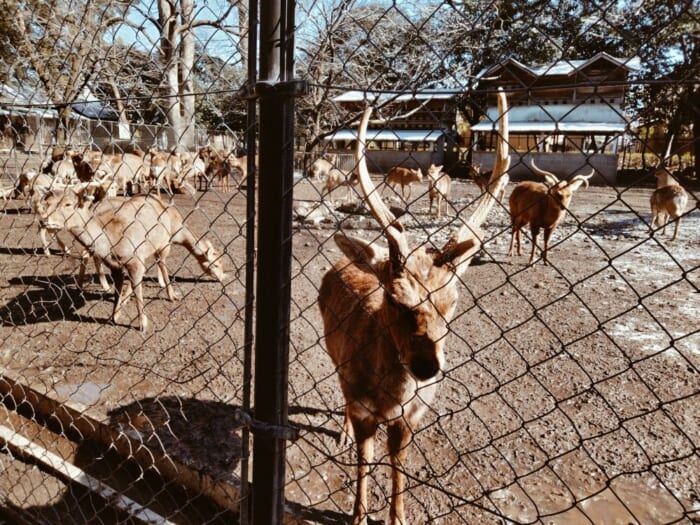【静岡】本気でスッキリしたい人へ―富士山のエネルギー炸裂! 三島の瀧川神社と三嶋大社