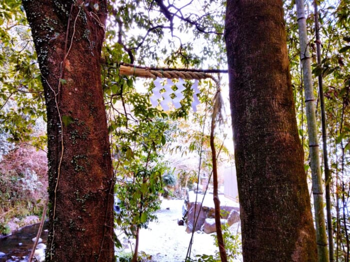 【静岡】本気でスッキリしたい人へ―富士山のエネルギー炸裂! 三島の瀧川神社と三嶋大社