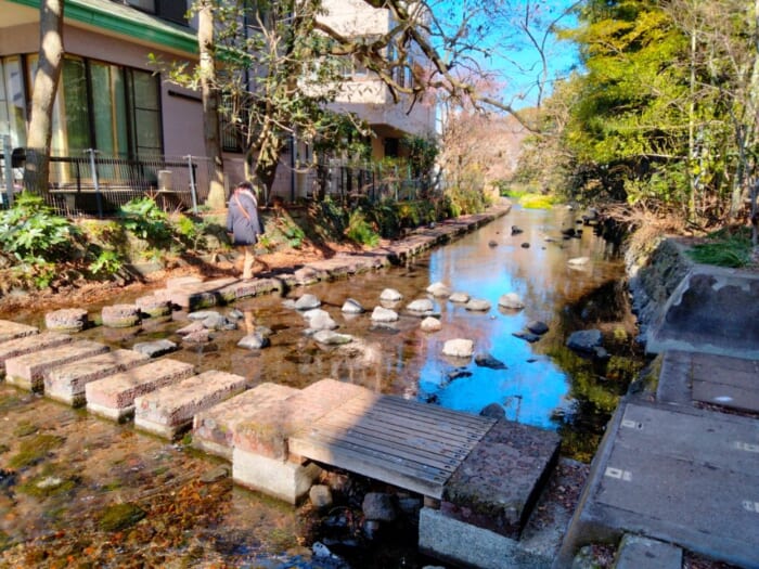 【静岡】本気でスッキリしたい人へ―富士山のエネルギー炸裂! 三島の瀧川神社と三嶋大社