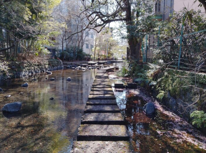 【静岡】本気でスッキリしたい人へ―富士山のエネルギー炸裂! 三島の瀧川神社と三嶋大社