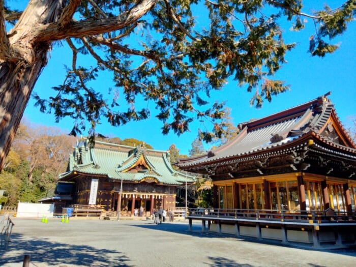 【静岡】本気でスッキリしたい人へ―富士山のエネルギー炸裂! 三島の瀧川神社と三嶋大社