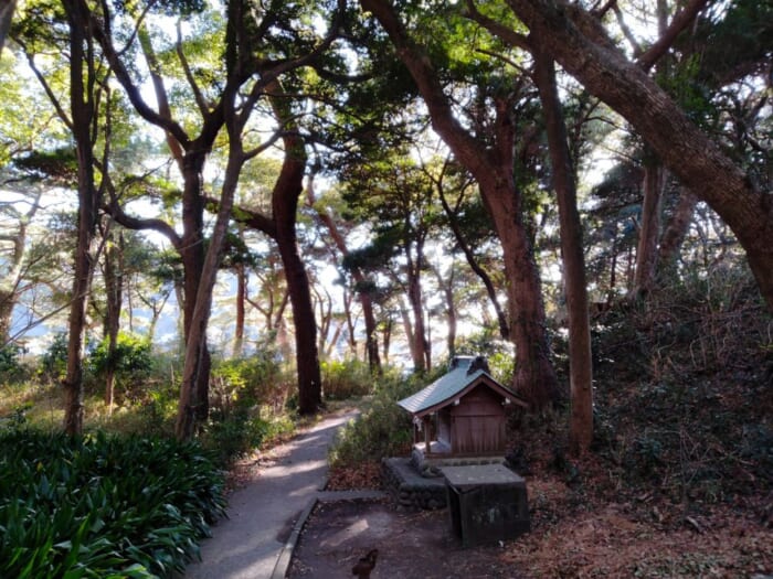 SNSで人気急上昇！ 富士山を望む漁港・戸田のパワースポット―諸口神社