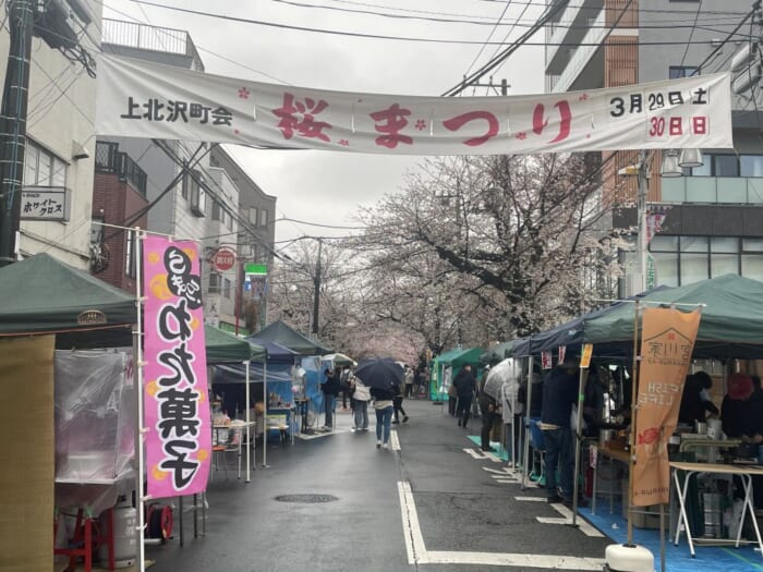 桜の穴場スポット、気になりませんか？世田谷百景にも選ばれる上北沢の桜並木 -東京 世田谷区
