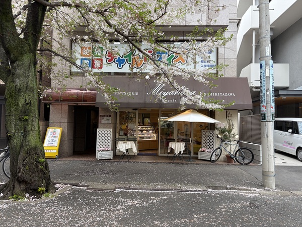 桜の穴場スポット、気になりませんか？世田谷百景にも選ばれる上北沢の桜並木 -東京 世田谷区