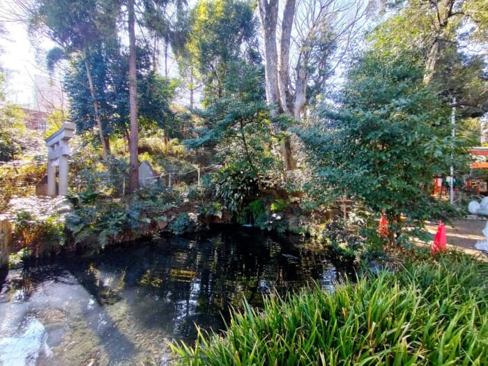 武蔵野に鎮座する松平家ゆかりの縁結びの神様―杵築大社