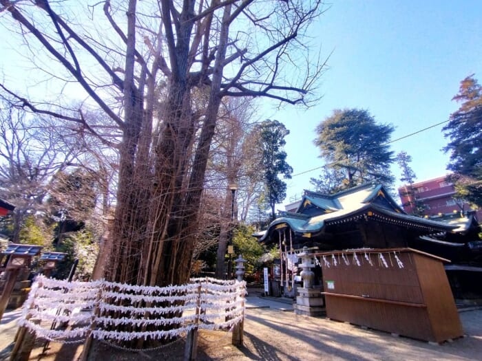 武蔵野に鎮座する松平家ゆかりの縁結びの神様―杵築大社