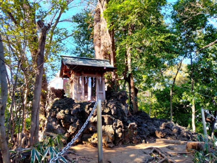 武蔵野に鎮座する松平家ゆかりの縁結びの神様―杵築大社