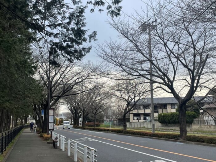 近くで飛行機が見られる！ わくわく止まらない調布飛行場にあるカフェ「プロペラカフェ」-東京都　調布市