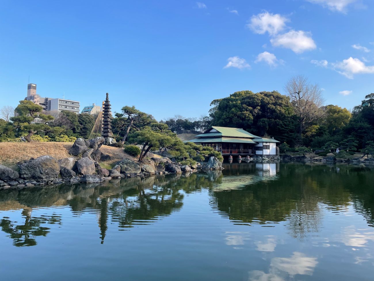 生き物の生きざまを身近に感じられる場所、清澄庭園。-東京都 江東区