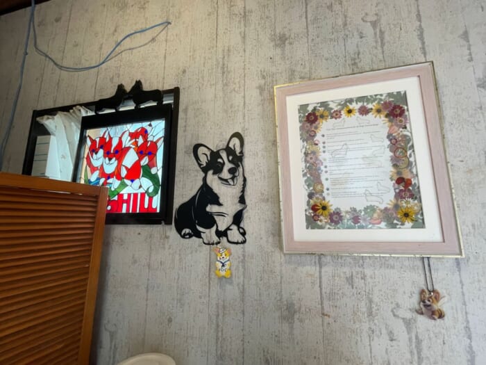 コーギー好きにはたまらない！長崎にある癒しカフェ「Dog Hill」 -長崎県