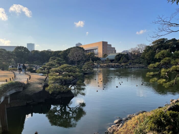 生き物の生きざまを身近に感じられる場所、清澄庭園。-東京都　江東区