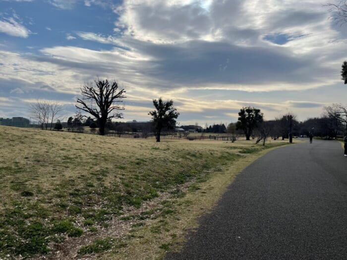 近くで飛行機が見られる！ わくわく止まらない調布飛行場にあるカフェ「プロペラカフェ」-東京都　調布市