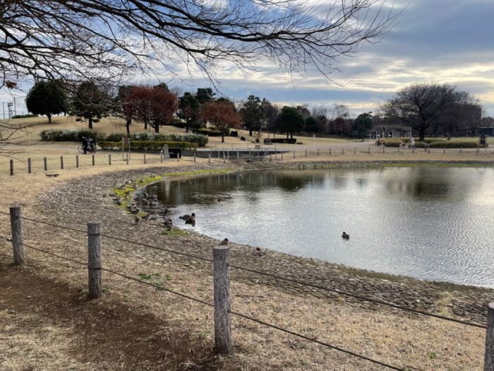 近くで飛行機が見られる！ わくわく止まらない調布飛行場にあるカフェ「プロペラカフェ」-東京都　調布市