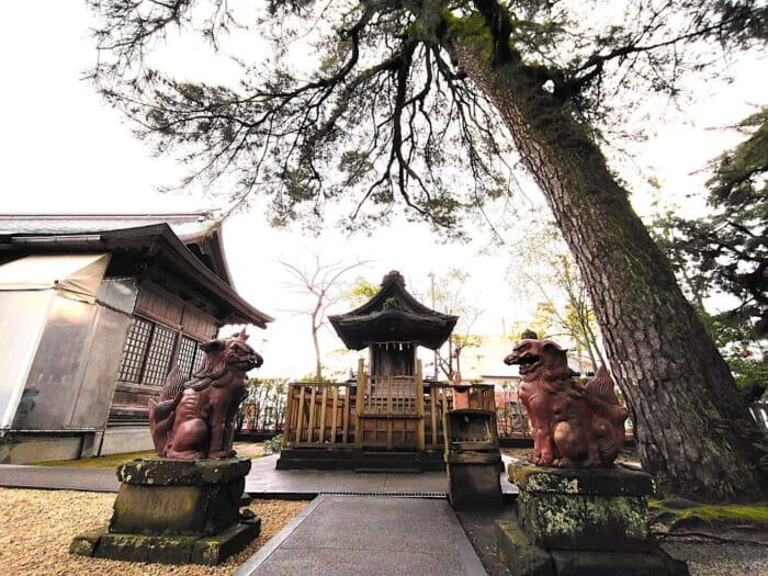 【ばけばけ聖地巡礼】知られざる八雲と松江の穴場神社2選―須衛都久神社と売布神社