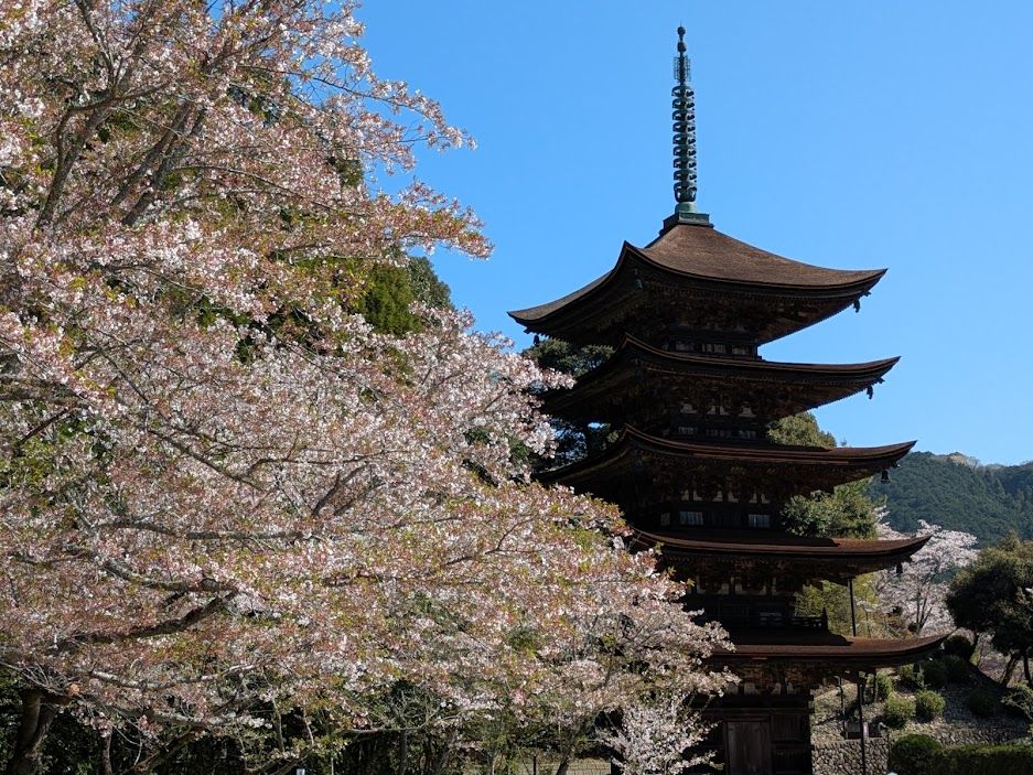 美しい！可愛い！美味しい！三拍子揃った大内文化を堪能　西の京都　山口のシンボル瑠璃光寺