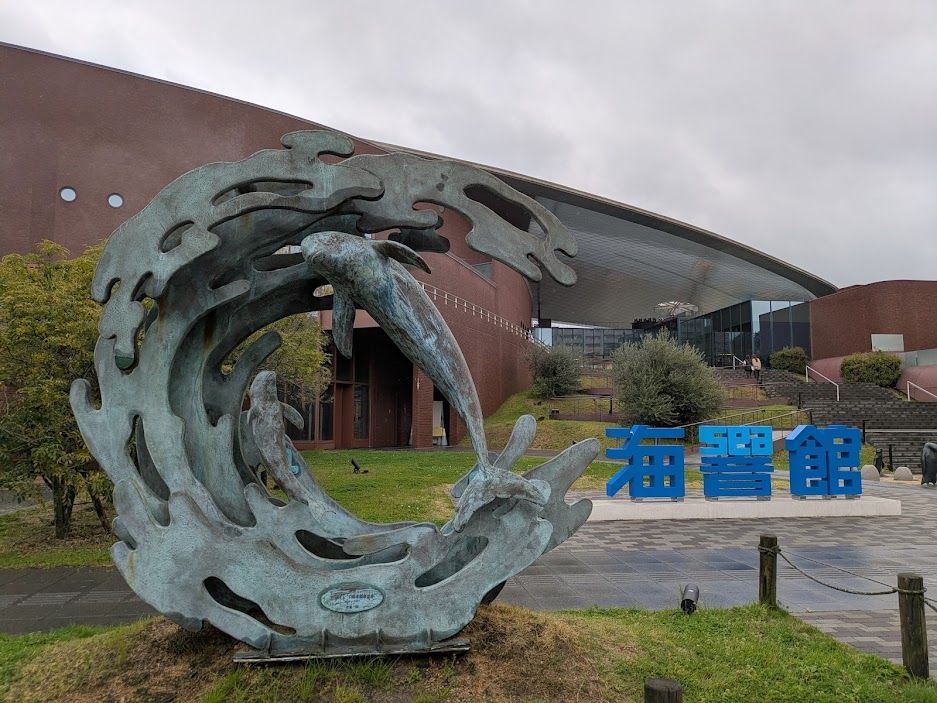 ふぐの展示は世界一！ 雨の日でも楽しめるリニューアルした市立しものせき水族館「海響館」