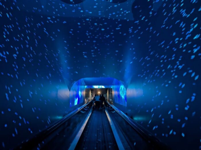 ふぐの展示は世界一！ 雨の日でも楽しめるリニューアルした市立しものせき水族館「海響館」