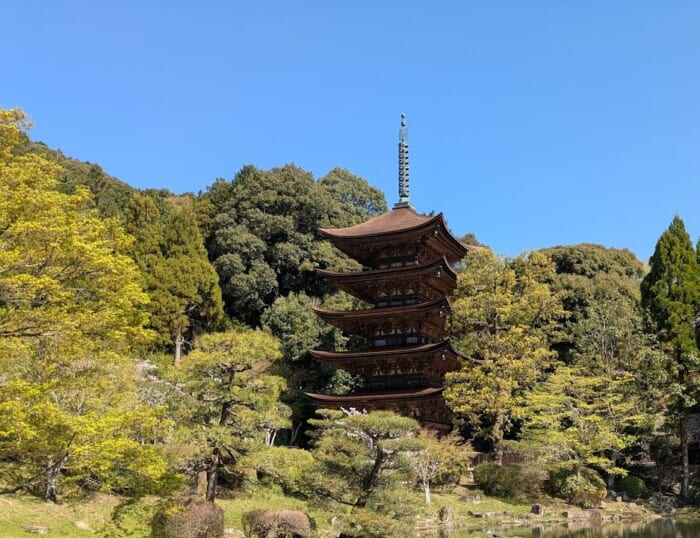 美しい！可愛い！美味しい！三拍子揃った大内文化を堪能　西の京都　山口のシンボル瑠璃光寺