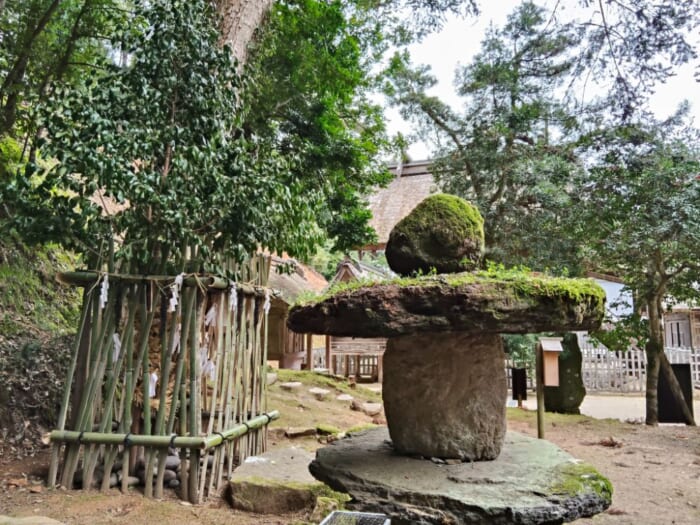 出雲大社より古い!? 松江の神魂神社