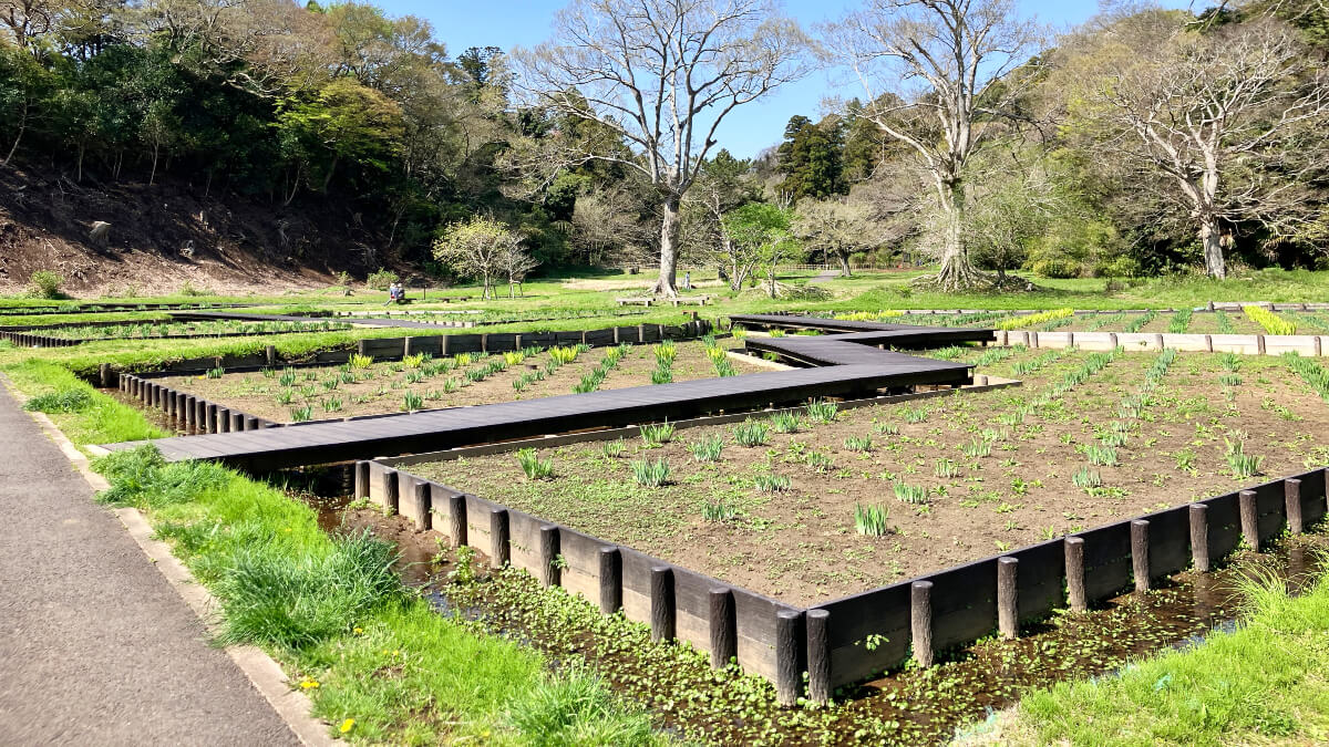 江戸時代にタイムスリップ! 悠久の歴史を感じる佐倉城下町さんぽ