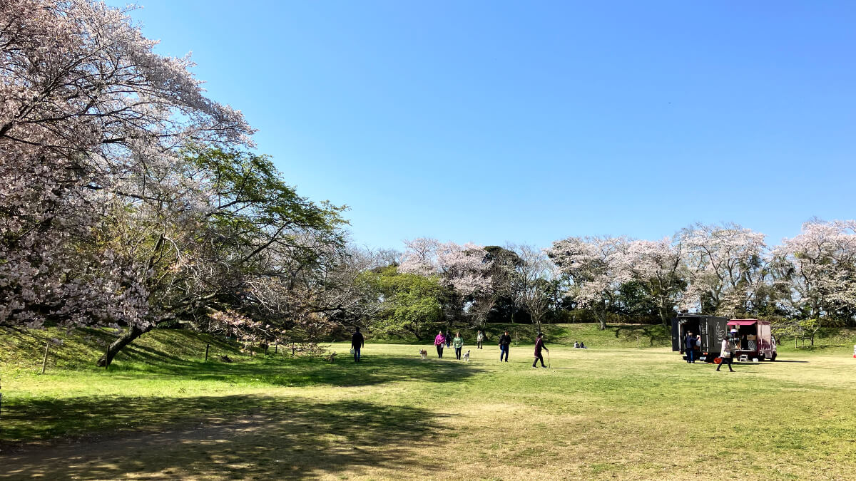江戸時代にタイムスリップ! 悠久の歴史を感じる佐倉城下町さんぽ