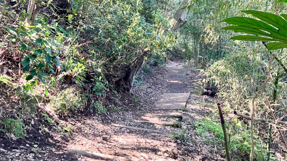 江戸時代にタイムスリップ! 悠久の歴史を感じる佐倉城下町さんぽ