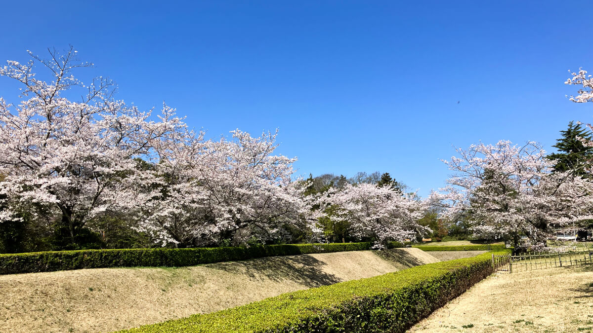 江戸時代にタイムスリップ！ 悠久の歴史を感じる佐倉城下町さんぽ