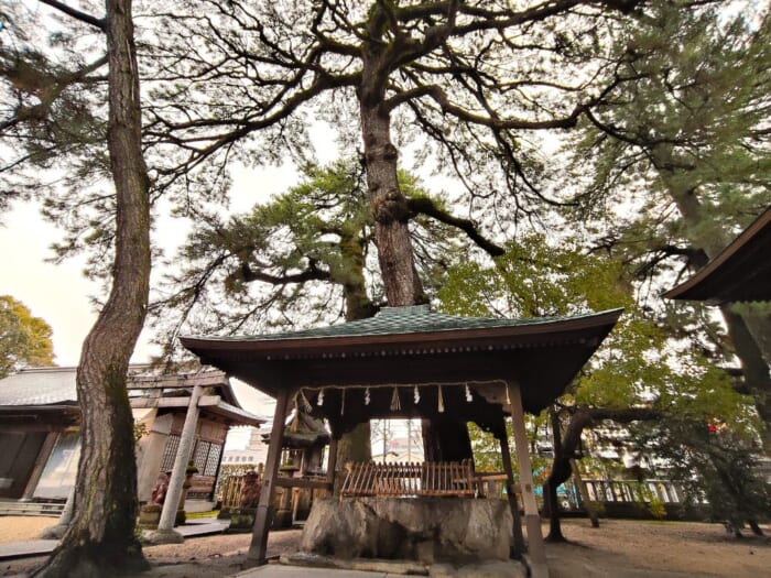 【ばけばけ聖地巡礼】知られざる八雲と松江の穴場神社2選―須衛都久神社と売布神社