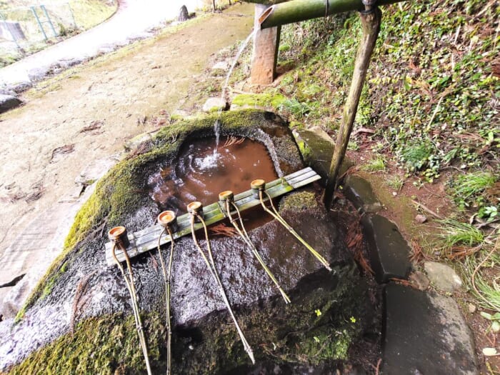 出雲大社より古い!? 松江の神魂神社