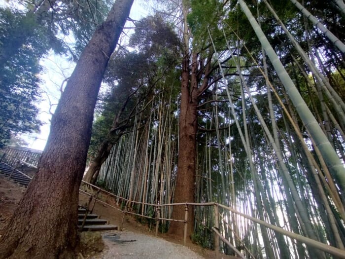 ギョウザの街・宇都宮のど真ん中にあるパワースポット―二荒山神社