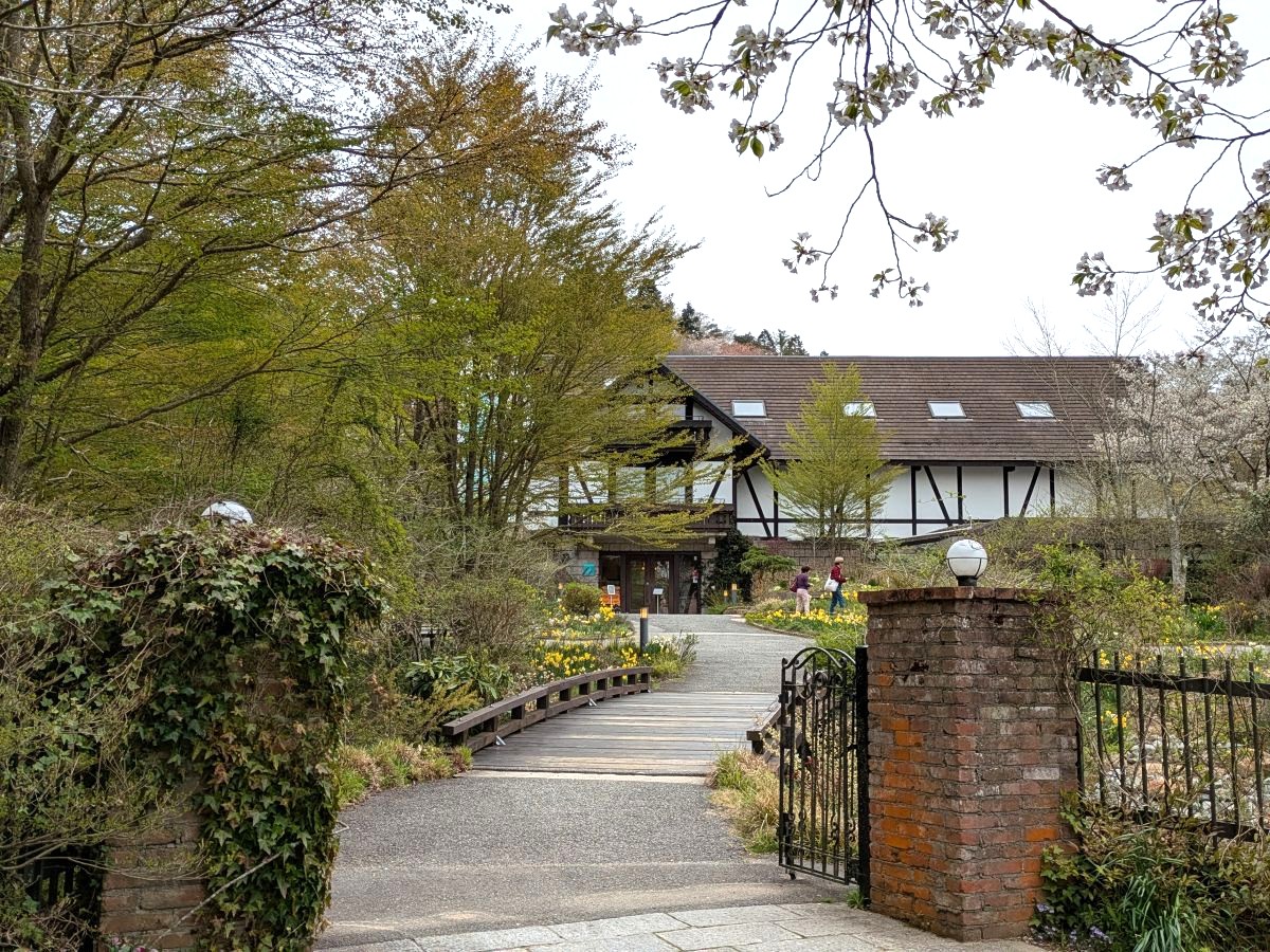 六甲ケーブルで神戸の避暑地へ! べストシーズンの六甲山上を楽しもう