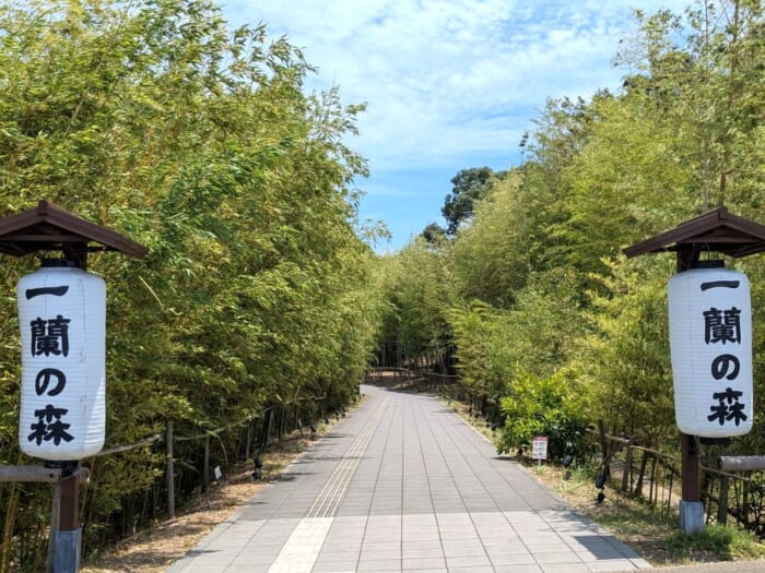 福岡・糸島に存在する「一蘭の森」なるものに足を踏み入れてみた!