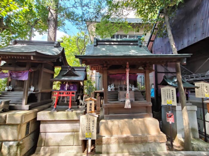 世界を魅了する下北沢を支えるパワースポット―北澤八幡神社と代沢稲荷神社を巡る開運散歩
