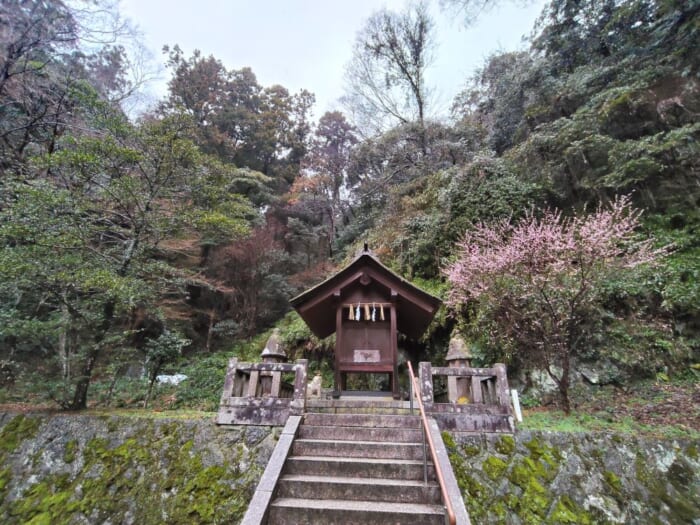 出雲大社とダブル参拝で開運度倍増！？ 島根のえびす様総本山―美保神社