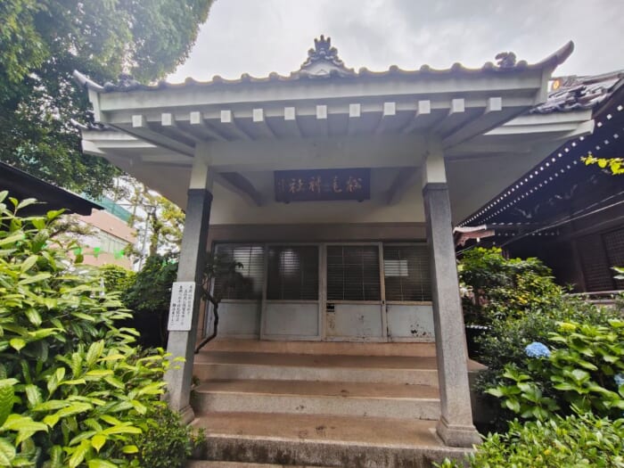 白山神社―都内にひっそり鎮座するご縁をつなぐ女神のパワースポット
