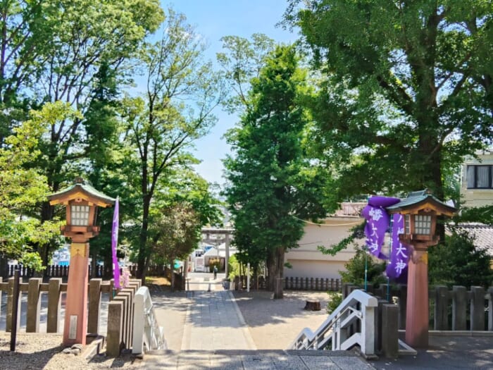世界を魅了する下北沢を支えるパワースポット―北澤八幡神社と代沢稲荷神社を巡る開運散歩
