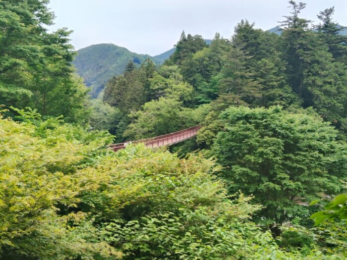 「これが東京！？」日帰り可能な五感が癒やされるパワースポット―秋川渓谷と貴布祢伊龍神社