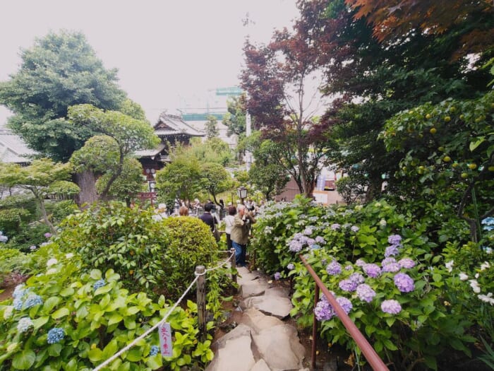 白山神社―都内にひっそり鎮座するご縁をつなぐ女神のパワースポット