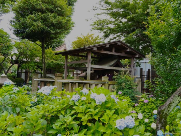 白山神社―都内にひっそり鎮座するご縁をつなぐ女神のパワースポット