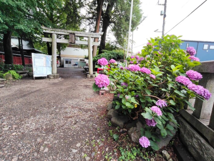 【東京の隠れ聖地】谷保天満宮の格式高きパワーとは? 関東最古の天神様で開運参拝