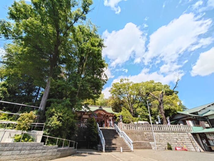 世界を魅了する下北沢を支えるパワースポット―北澤八幡神社と代沢稲荷神社を巡る開運散歩