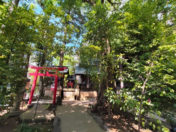 世界を魅了する下北沢を支えるパワースポット―北澤八幡神社と代沢稲荷神社を巡る開運散歩