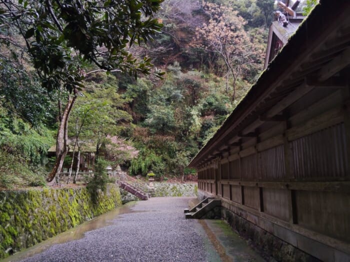 出雲大社とダブル参拝で開運度倍増！？ 島根のえびす様総本山―美保神社