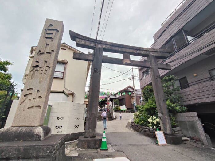 白山神社―都内にひっそり鎮座するご縁をつなぐ女神のパワースポット