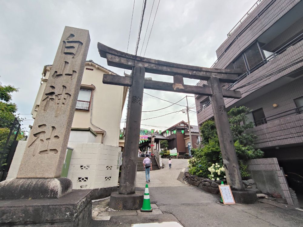 白山神社―都内にひっそり鎮座するご縁をつなぐ女神のパワースポット