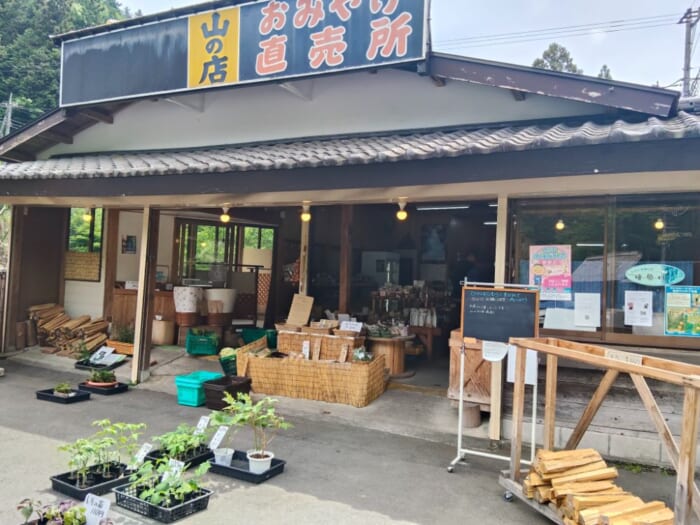 「これが東京！？」日帰り可能な五感が癒やされるパワースポット―秋川渓谷と貴布祢伊龍神社